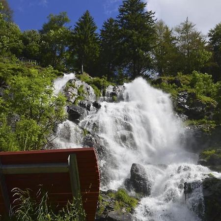 Waldlicht Titisee ภายนอก รูปภาพ