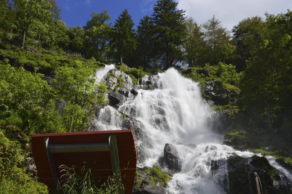 Waldlicht Titisee ภายนอก รูปภาพ