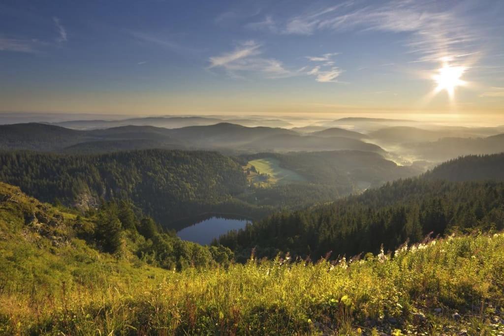 Waldlicht Titisee ภายนอก รูปภาพ