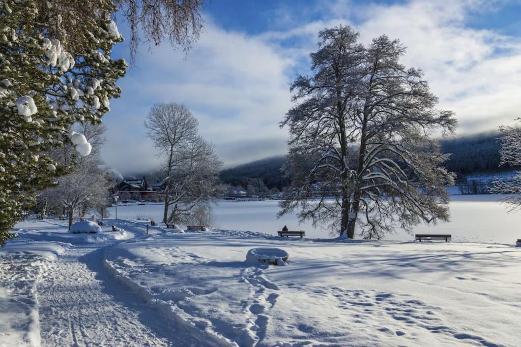 Waldlicht Titisee ภายนอก รูปภาพ
