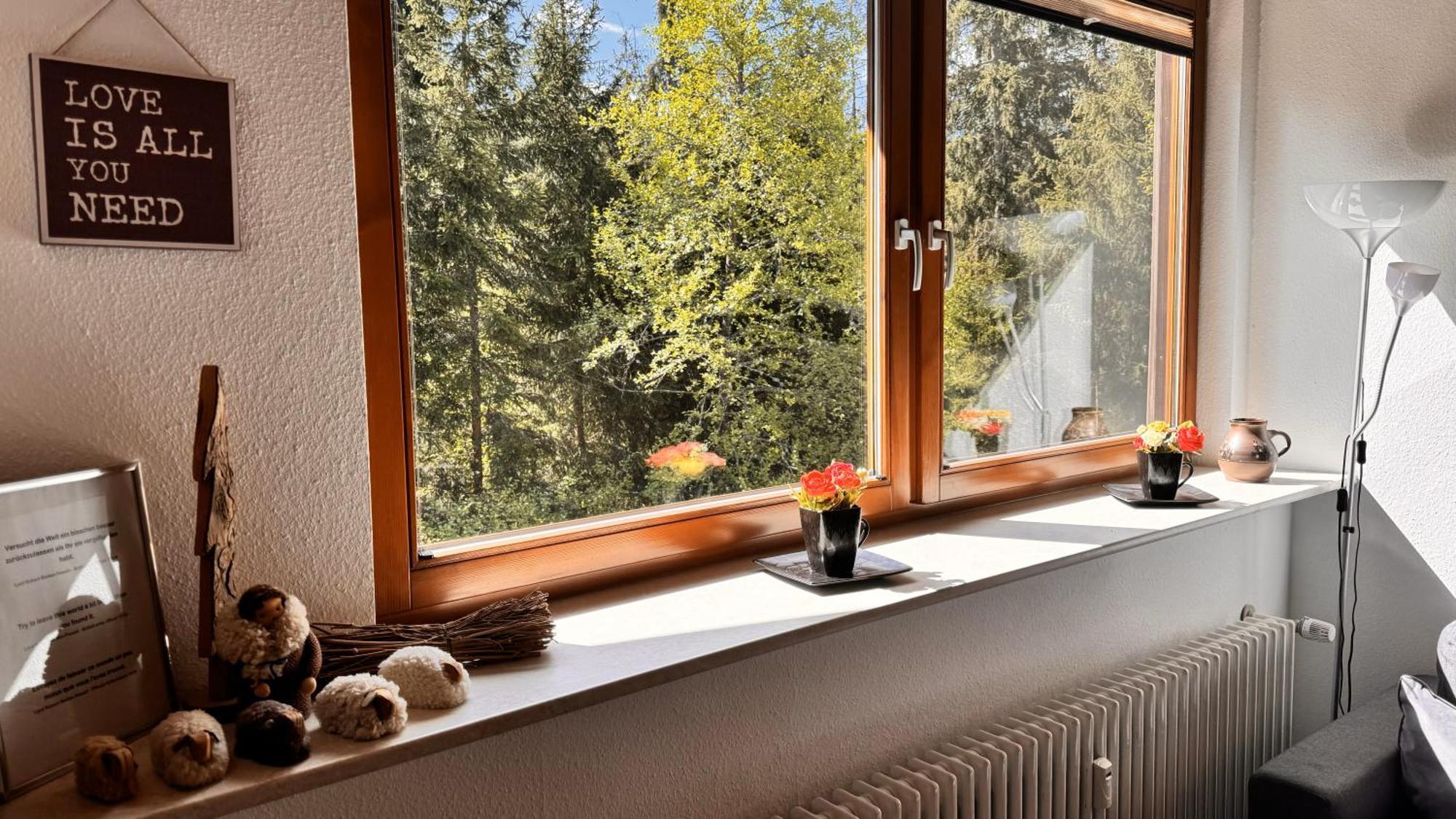 Waldlicht Titisee ภายนอก รูปภาพ